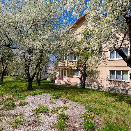 Апартаменты Casa Cu Cires Брашов Экстерьер фото